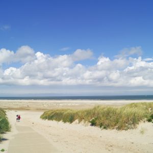 Die Dünen von Texel