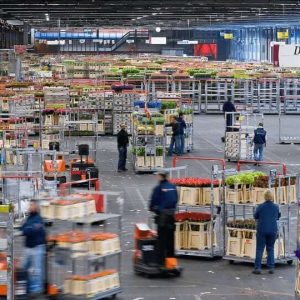 Aalsmeer Blumenauktion