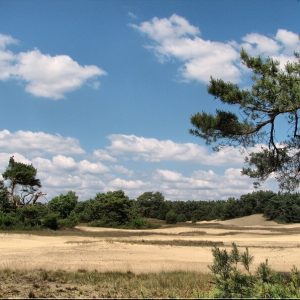 Nationalpark Veluwe