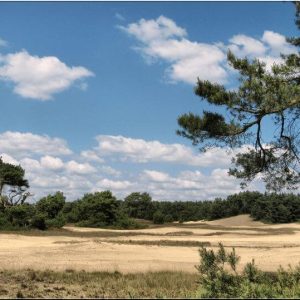 Der Nationalpark Hoge Veluwe