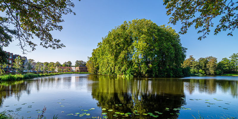 Schoonhoven