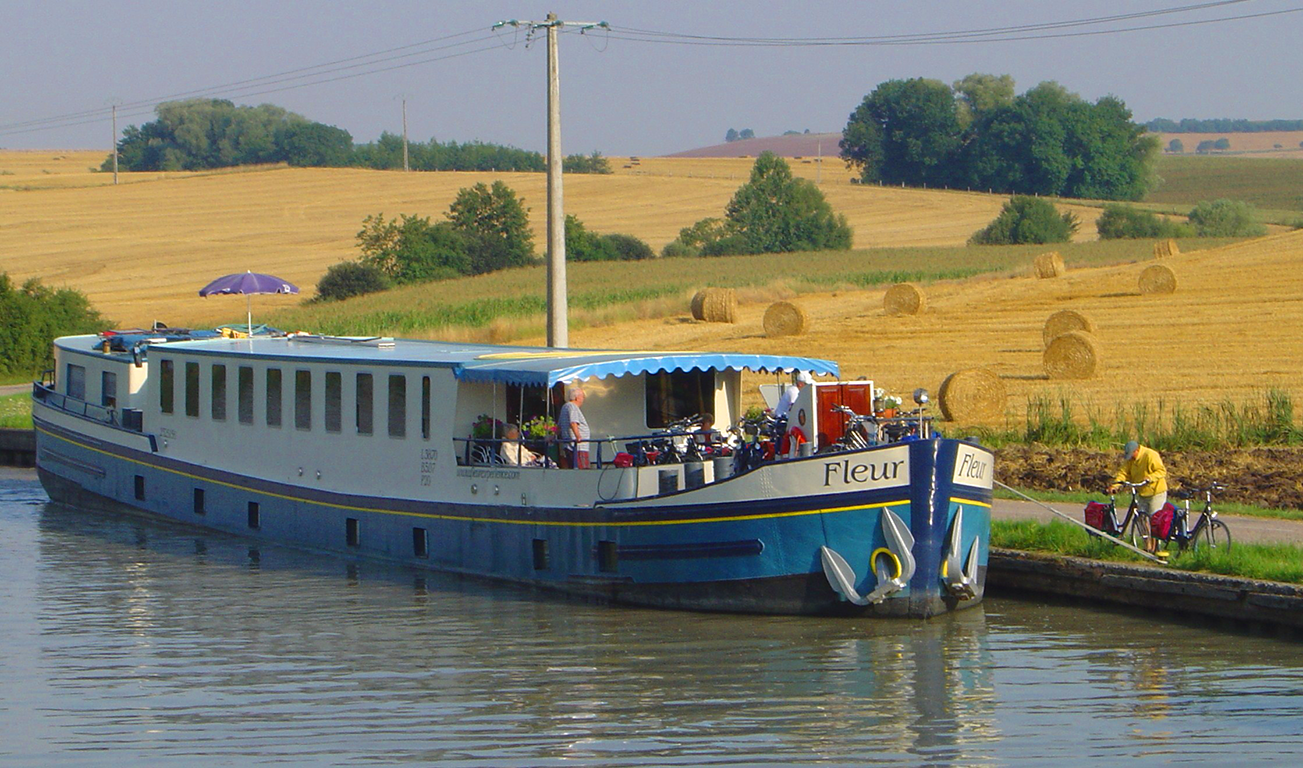 Die Fleur auf dem Wasser neben einem Feld