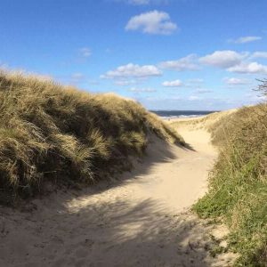 Sanddünen
