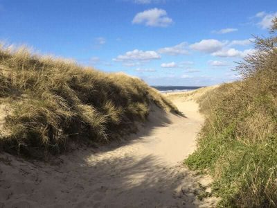 Sanddünen