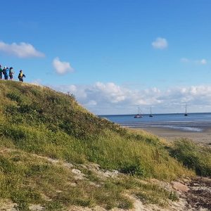 Leute in den Dünen