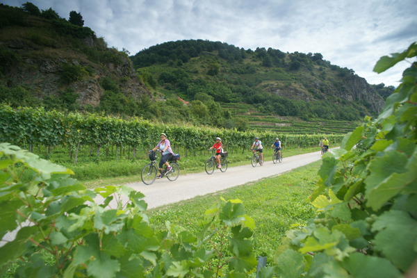 Vier Menschen auf dem Fahrrad in der Wachau