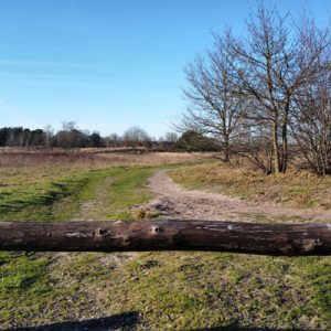 Maasduinen National Park