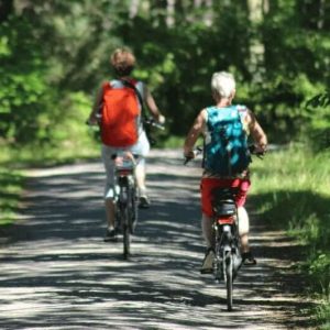 Fahrradfahrer im Wald