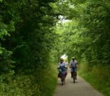 Radfahrer im Wald