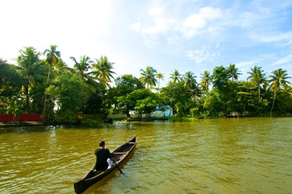 Landschaft der Backwaters von Alleppey, Kerala