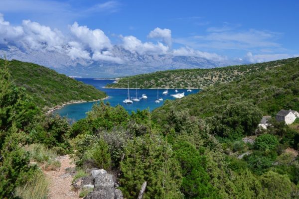 Brac Insel Wandern