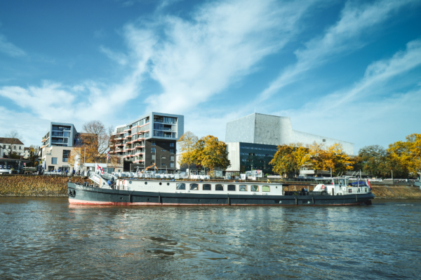 Magnifique 1 in Bonn